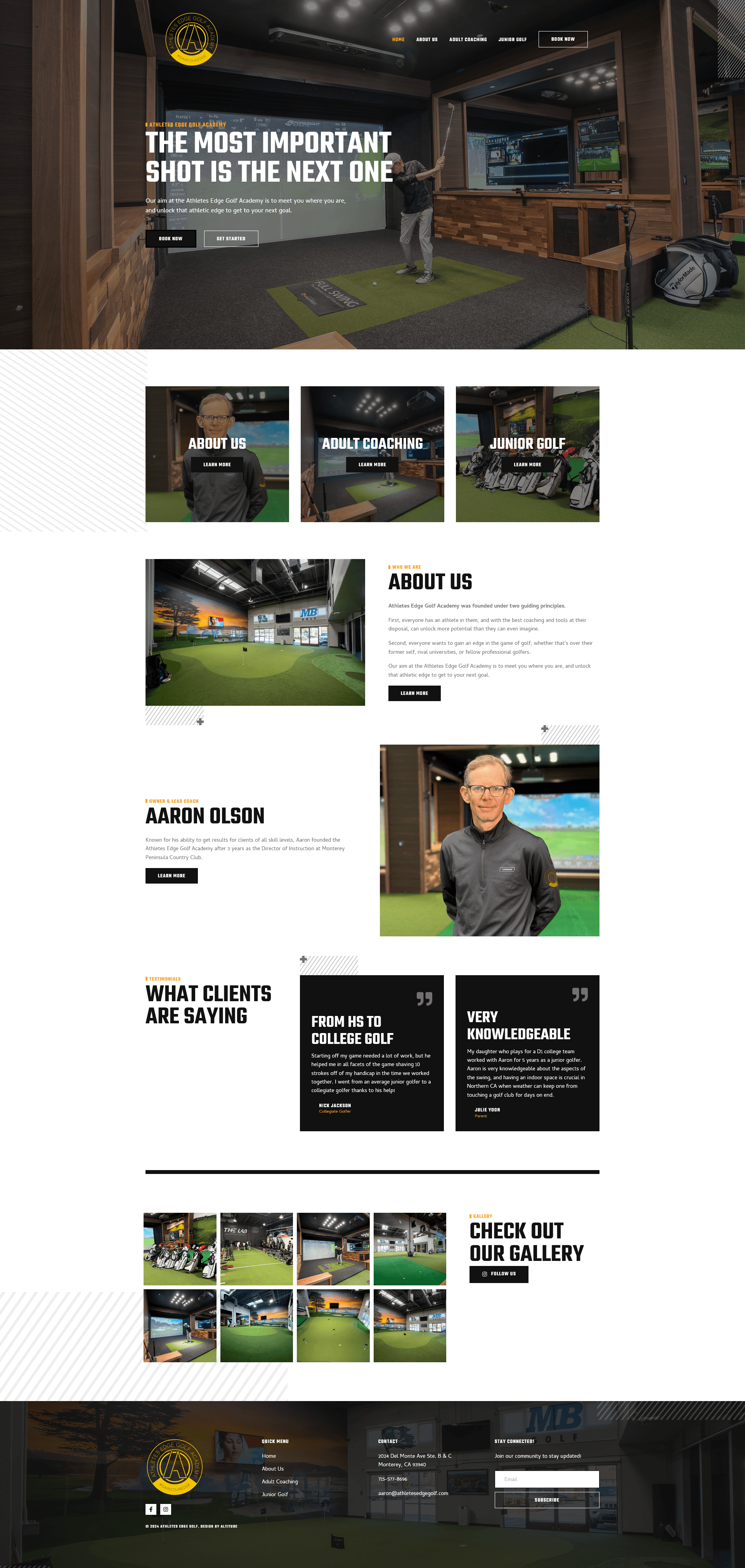 Aaron Olson site